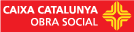 Logotype Caixa Catalunya | Obra Social
